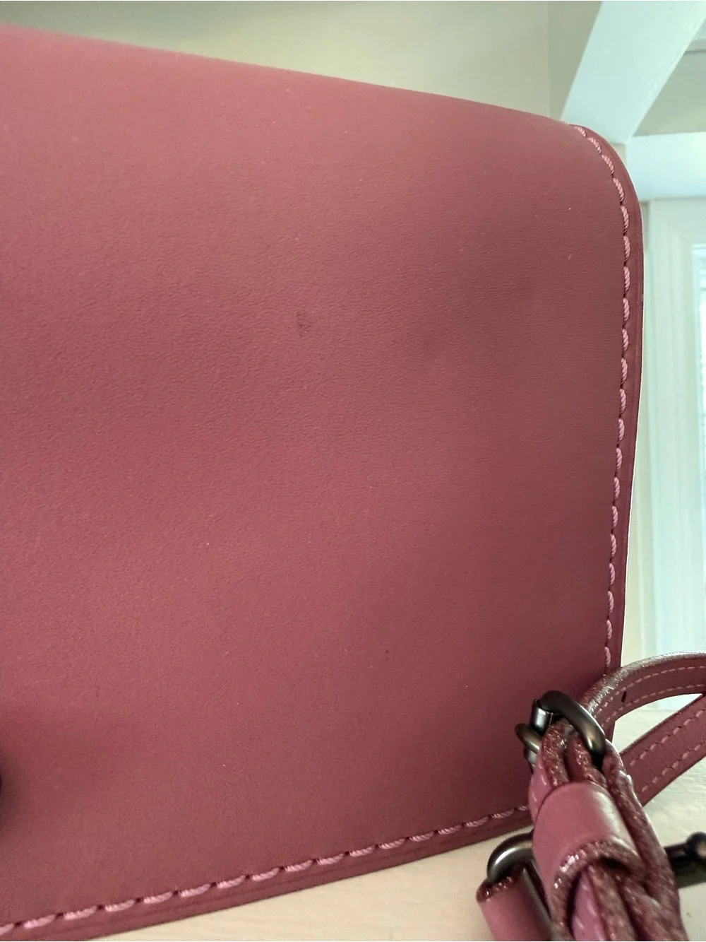 Coach Dinky Crossbody Bag